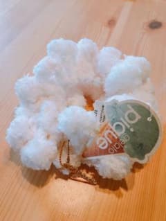 シュシュのサムネイル