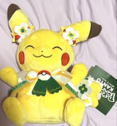ポケパークカントー限定 ピカチュウぬいぐるみ - メルカリ