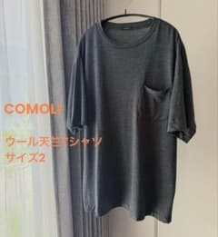 COMOLI サマーウール天竺 Tシャツ チャコール サイズ2 - メルカリ