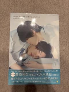 TVドラマ 美しい彼 公式ビジュアルブック 萩原利久 八木勇征のサムネイル