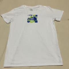 THE NORTH FACE ホワイト Tシャツ Mのサムネイル