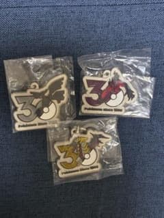 ポケモン 30周年記念 メタルチャームのサムネイル
