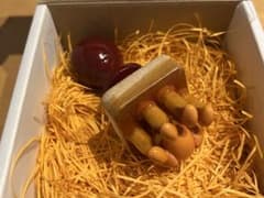 小野印房 猫の足跡（立体） 肉球スタンプ コンクリート DIYのサムネイル
