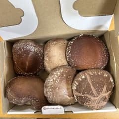 大分県産ジャンボしいたけのサムネイル