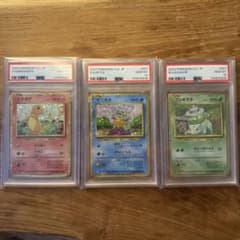ス*認様 ポケモンCLF 御三家ヒトカゲ ゼニガメ フシギダネ PSA10