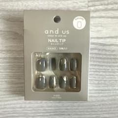 and us Nail Tip グレー 30枚入りのサムネイル