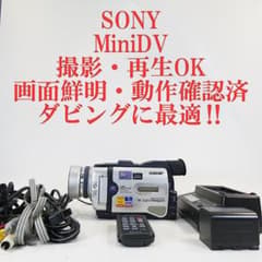 ソニー DCR-TRV30【動作確認済】MiniDVビデオカメラ ダビングに最適