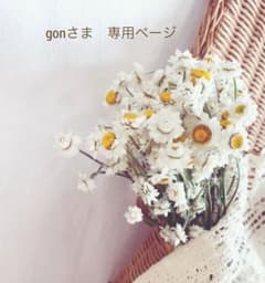 ♡gon様　　専用ページ♡のサムネイル