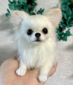 羊毛犬 羊毛フェルト ぱっちりお目目のチワワちゃん no.24 - メルカリ