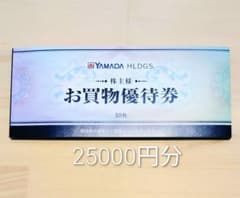 ヤマダ電機 お買物優待券 25000円分のサムネイル