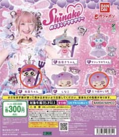 しなこ めじるしのサムネイル