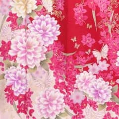 ノリン様専用のサムネイル