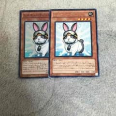レスキューラビットのサムネイル