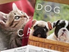 2026年（令和8年） 壁掛けカレンダー 犬&猫　2冊セットのサムネイル