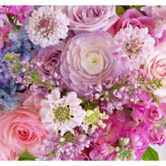 専用ページ　Lilly様のサムネイル