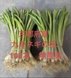京都府産 九条ネギ苗 100本 家庭菜園や畑に！甘くて柔らか - メルカリ 【京都府産】九条ネギの苗 - ご希望の本数で承ります！