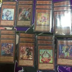 ポルン プロフ必読様 マドルチェデッキのサムネイル