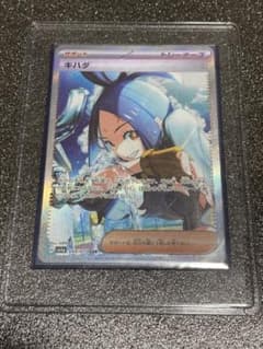 キハダ　SARのサムネイル