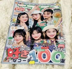 ニコプチのサムネイル
