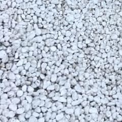 げーむのサムネイル