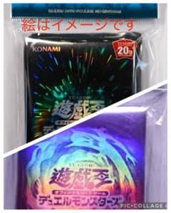 最新値下げ フュージョンパープル・エクシーズブラック 初版のサムネイル
