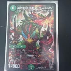パラスキングのサムネイル
