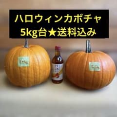 ハロウィンカボチャ　5kg台　送料込みのサムネイル