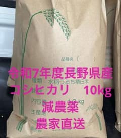 即日発送！　令和7年度 長野県産コシヒカリ10kg 減農薬 本日17時まで！令和7年産 長野県産コシヒカリ10kg 減農薬 発送前精米