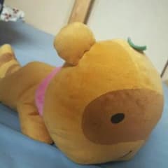 わたぬき ぬいぐるみ マフラー付きのサムネイル