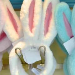 ディズニー うさ耳のサムネイル