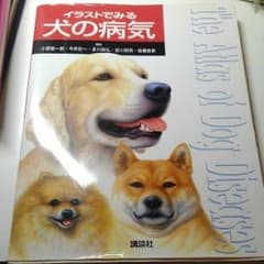 イラストでみる犬の病気/小野 憲一郎のサムネイル