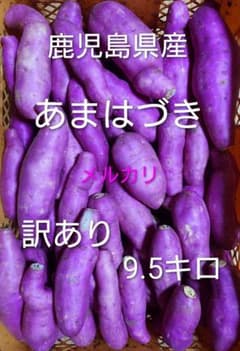 鹿児島県産 あまはづき 訳あり9.5キロのサムネイル