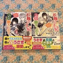 『お飾り王妃になったので、こっそり働きに出ることにしました』　1・2 富樫聖夜のサムネイル