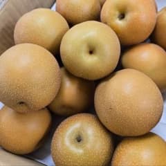 訳あり梨　豊水梨　４kgのサムネイル