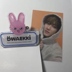 Straykids  チャンビン  トレカ  SKZOO  dwaekiiのサムネイル