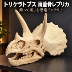巨大トリケラトプス 頭蓋骨レプリカ 恐竜インテリアのサムネイル
