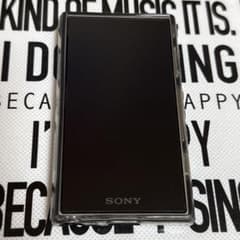 SONY Walkman NW-A100のサムネイル