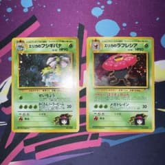 ポケモンカードゲーム 旧裏 エリカのフシギバナ　エリカのラフレシア　他のサムネイル