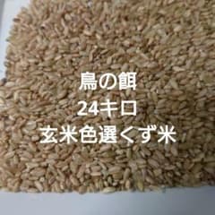 鳥の餌 24キロ 色選くず米⑤ - メルカリ