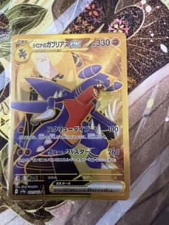 シロナのガブリアスex URのサムネイル