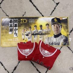 SoftBank Hawks ユニフォームLサイズ2枚＋タオルセット - メルカリ