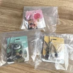 주트 피어 블리스터 매력 컬렉션