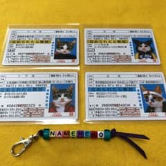 なめ猫　ゴールドカード　免許証　4枚　NO.3のサムネイル