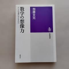 数学の想像力 加藤文元 筑摩選書のサムネイル