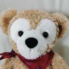 ダッフィーSサイズぬいぐるみ 2010年製のサムネイル