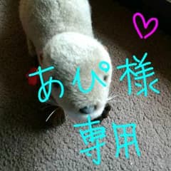 あぴ様専用のサムネイル