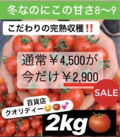【お年玉企画】とっても濃厚ミニトマト　箱込み2kgのサムネイル