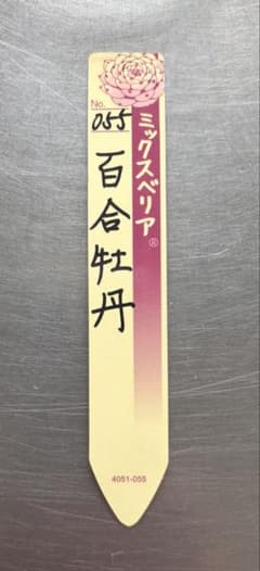 百合牡丹 札のみ ミックスベリア おらいさん苗 多肉植物 - メルカリ
