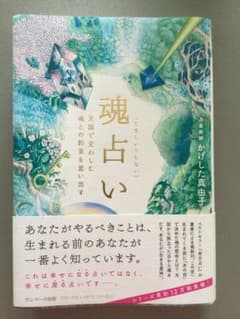 魂占いのサムネイル