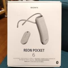 【美品 5年保証】SONY REON POCKET 6 RNPK-6T 本体のサムネイル